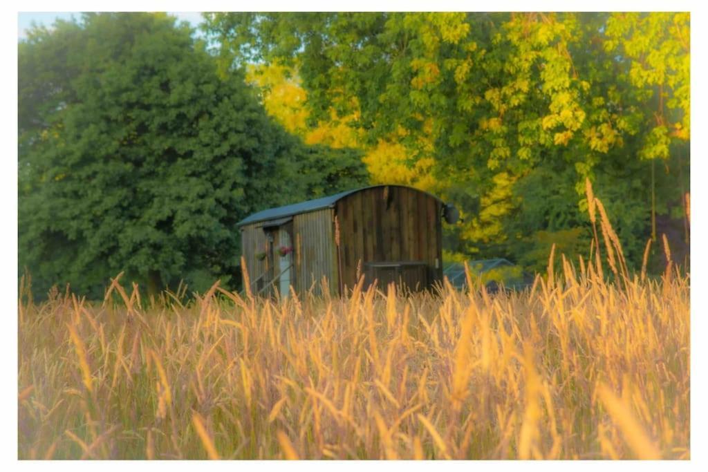 Mountbatten Shepherds Hut & Buckhurst Shepherds Hut アシュフォード エクステリア 写真