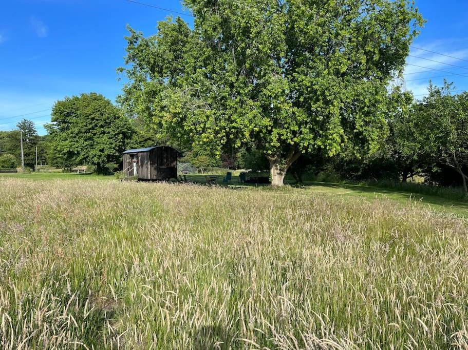 Mountbatten Shepherds Hut & Buckhurst Shepherds Hut アシュフォード エクステリア 写真