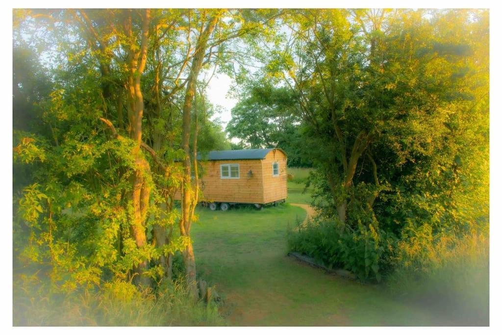 Mountbatten Shepherds Hut & Buckhurst Shepherds Hut アシュフォード エクステリア 写真