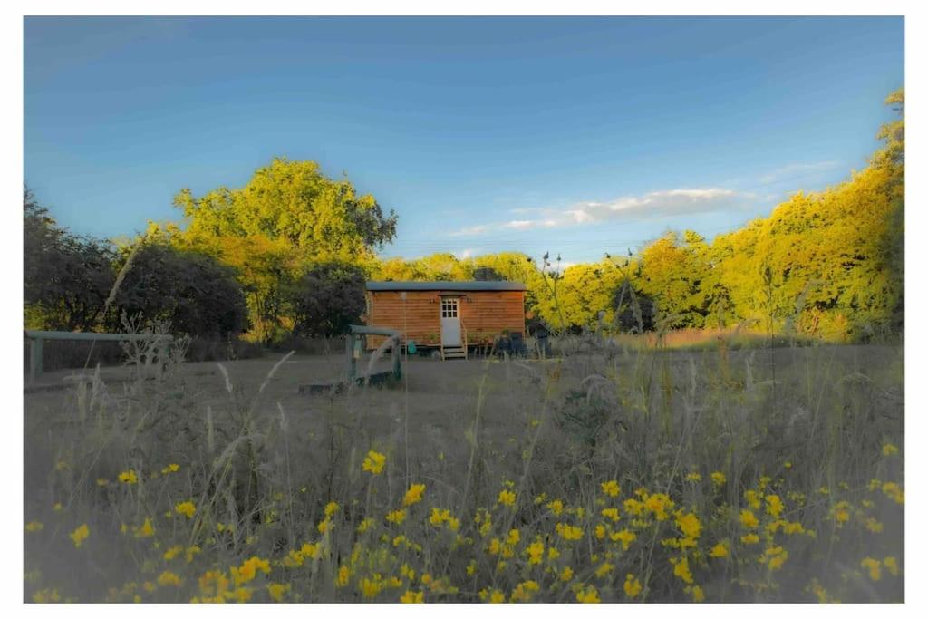 Mountbatten Shepherds Hut & Buckhurst Shepherds Hut アシュフォード エクステリア 写真