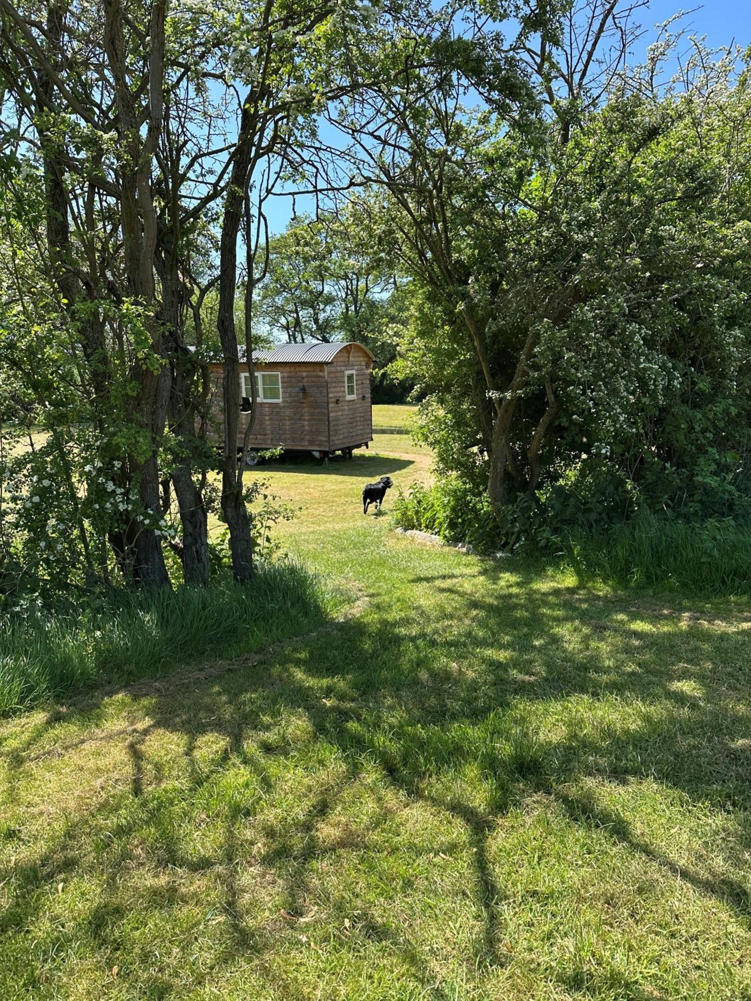 Mountbatten Shepherds Hut & Buckhurst Shepherds Hut アシュフォード エクステリア 写真