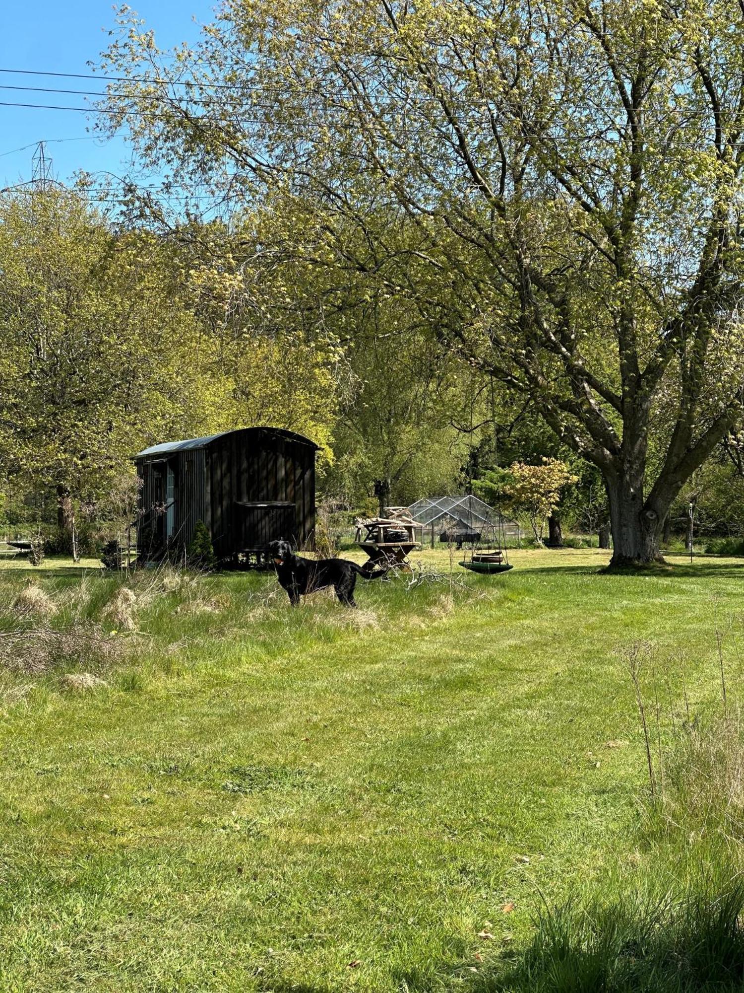 Mountbatten Shepherds Hut & Buckhurst Shepherds Hut アシュフォード エクステリア 写真